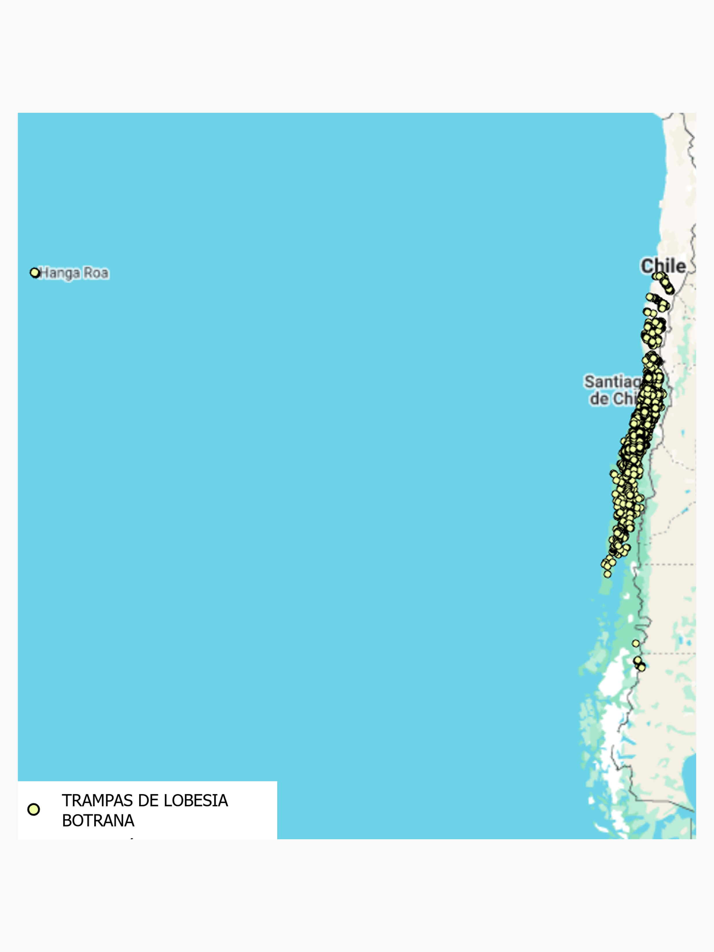 Ubicación de Trampas de Lobesía Botrana durante el año 2024